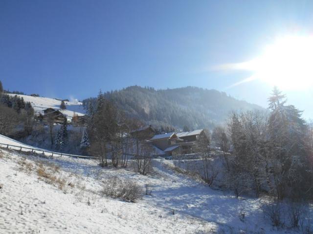 Appartements L'o ROUGE - Châtel