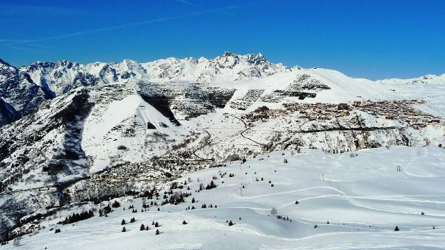 Ours blanc (l') 65715 - Alpe d'Huez