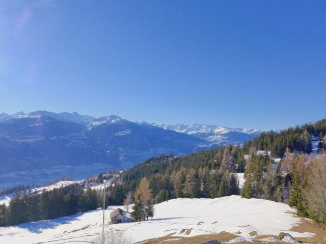 Appartement La Clairière des Barzettes A/B/C - Crans - Montana 