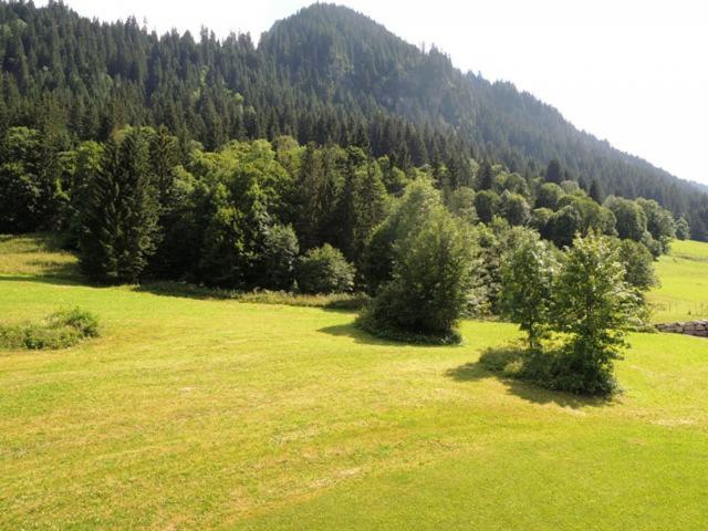 Appartement Les Avenières - Châtel