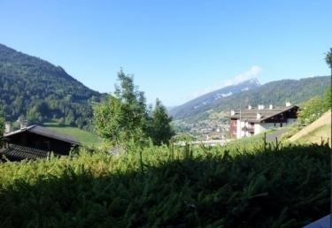 VIOLETTES - Le Grand Bornand