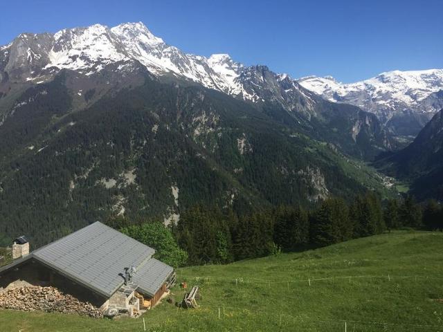 Chalet RAVIERE - Plagne - Champagny en Vanoise