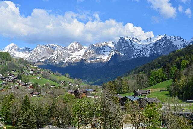 Appartement Chateau GB320-011 - Le Grand Bornand