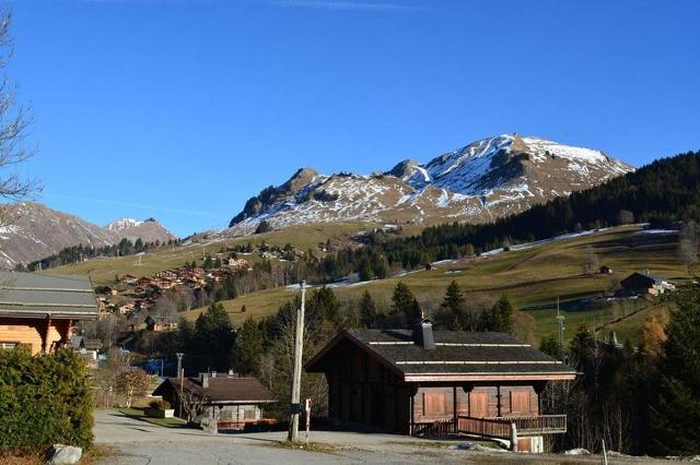 Appartement Cascades CH500-10 - Le Grand Bornand