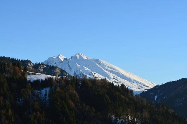 Appartement Flocons GB450-02 - Le Grand Bornand