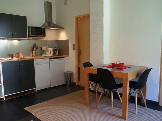 Appartement cosy au centre de Chamonix avec jardin, 2 pièces, bien équipé, accepte animaux FR-1-507- - Chamonix Centre