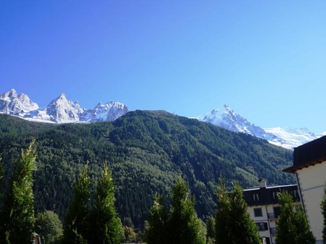 Appartement cosy au centre de Chamonix avec jardin, 2 pièces, bien équipé, accepte animaux FR-1-507- - Chamonix Centre