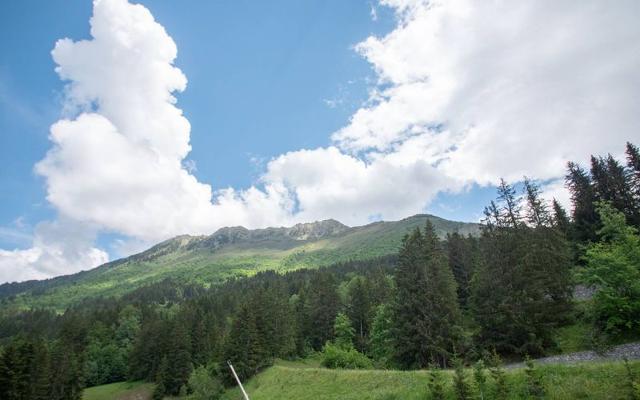 Appartement Lauzière-Dessus G234 - Valmorel