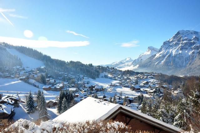 Appartements MONT BLANC - Les Carroz d'Araches