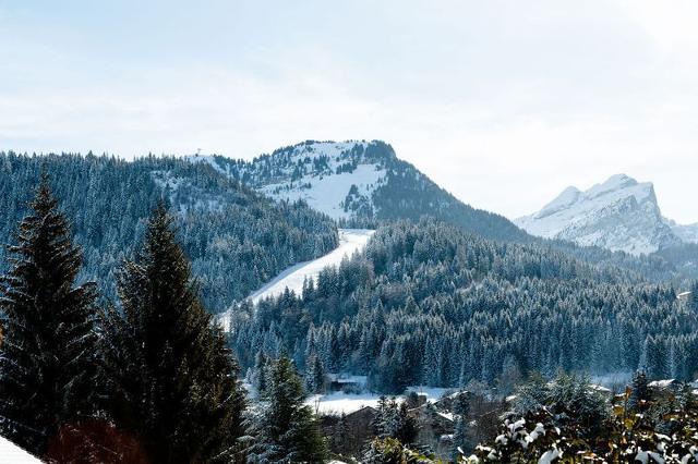 Appartements PRE DU BOIS - Les Carroz d'Araches