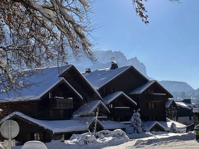 Appartements TRAPPEURS - Les Carroz d'Araches