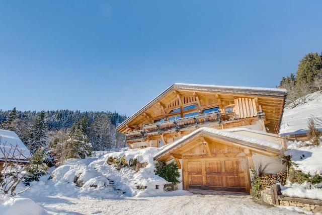 Chalet Blackbird - Megève