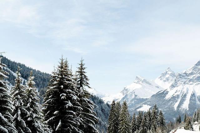 Appartements BELLATRIX - Flaine Front de Neige 1500