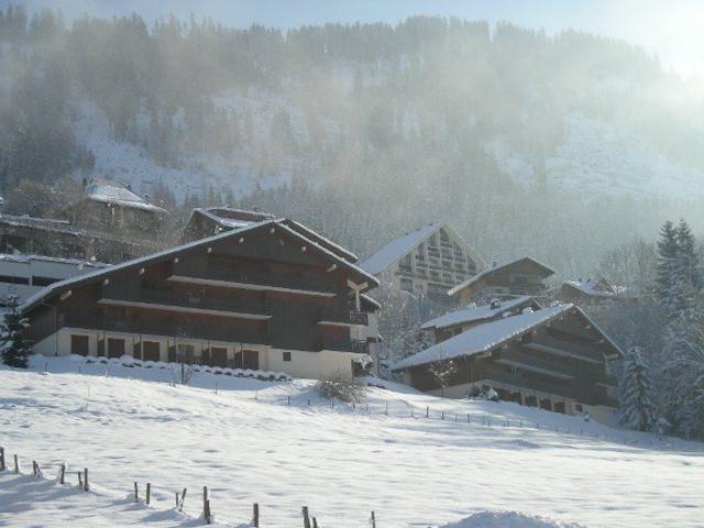 Studio Châtel, 1 pièce, 4 personnes - Châtel