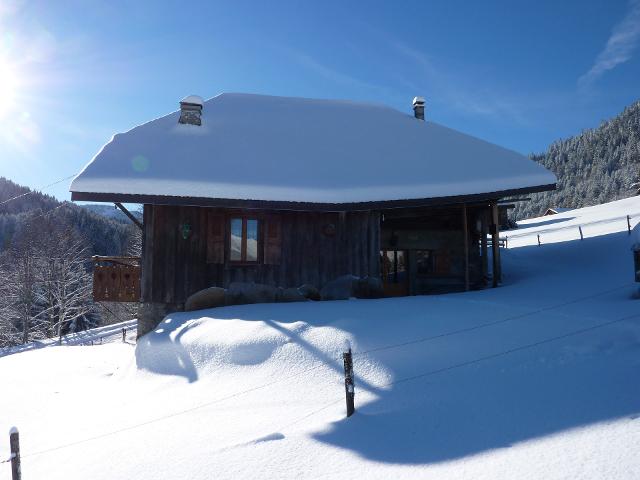 CHALET LES FYS - Morzine