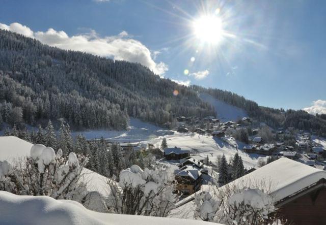 Appartement Les Ecrins - Les Carroz d'Araches