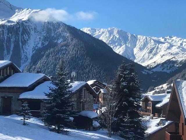 Résidences PETITE OURSE A & B - Vallandry