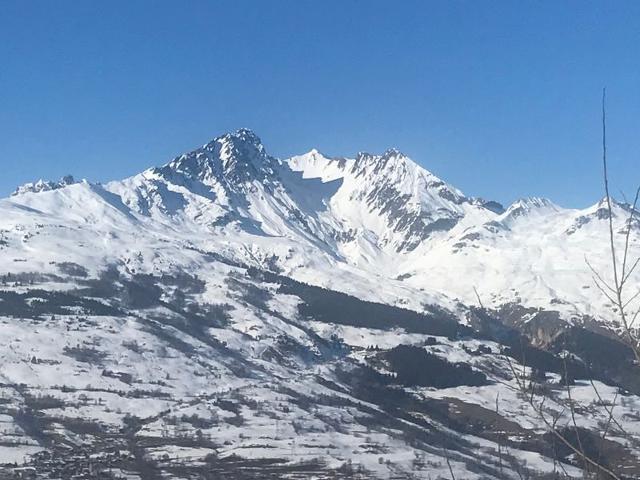 Résidences PETITE OURSE A & B - Vallandry