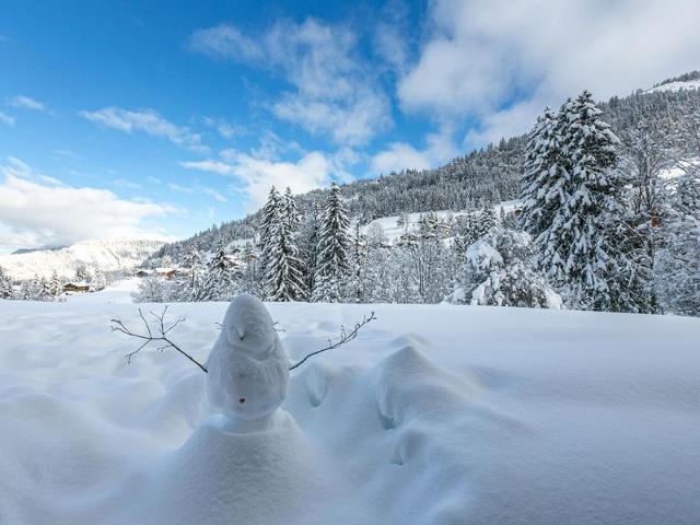 Appart 1 ch - Proche pistes - Parking couvert FR-1-437-78 - La Clusaz