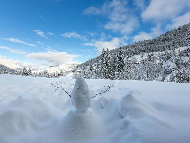 Appart 1 ch - Proche pistes - Parking couvert FR-1-437-78 - La Clusaz