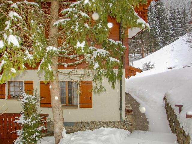 Châlet Aiguilles Dorées I/2 - Villars - sur - Ollons 