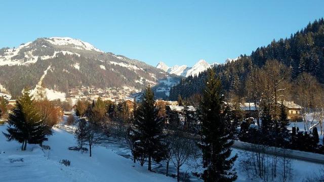 Appartement Alpina C GB060-013 - Le Grand Bornand