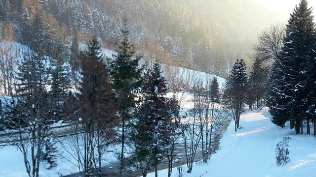 Appartement Alpina C GB060-013 - Le Grand Bornand