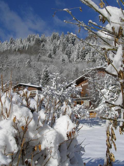 Appartement Eau Vive - Les Gets