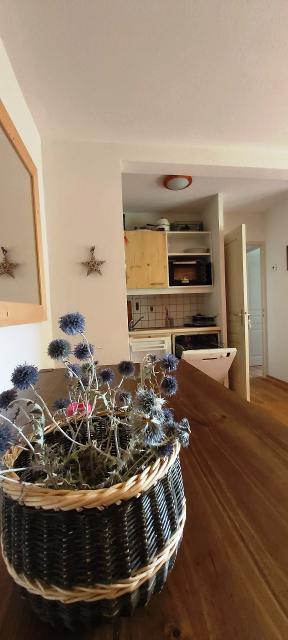 Appartements HDE3P4 - Appartement 3 pieces 4 personnes - Puy Saint Vincent