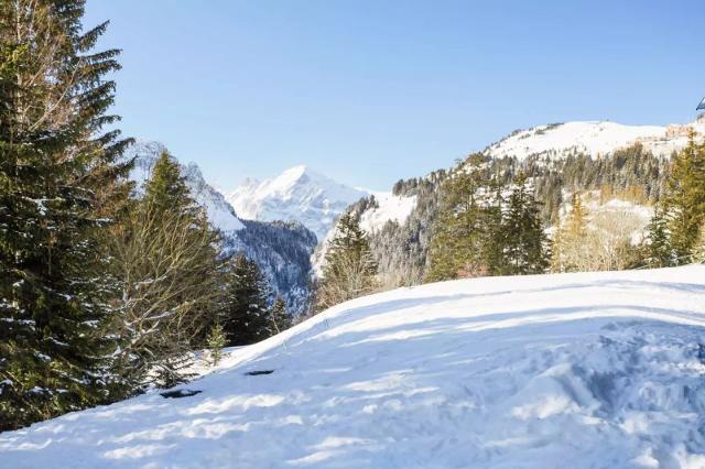 Résidence Pollux - maeva Home - Flaine Forêt 1700