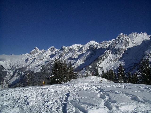 Appartement T2 Centre Village avec Balcon & Cheminée, Proche Piscine et Pistes FR-1-459-72 - La Clusaz