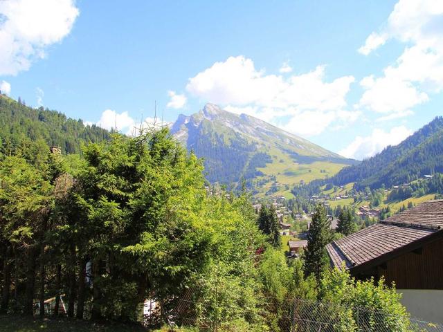 Appartement de 3 pièces avec balcon, cheminée et Wifi à La Clusaz FR-1-459-99 - La Clusaz