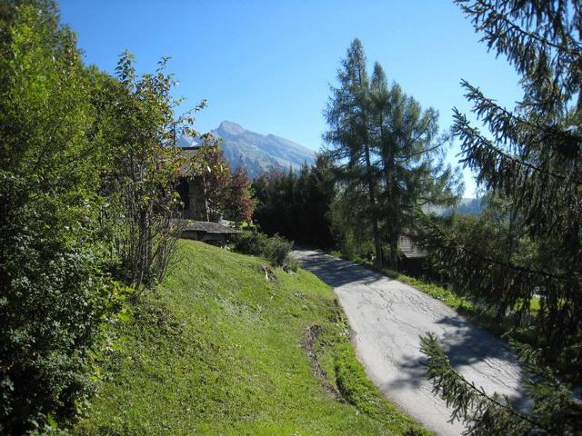 Appartement cosy 4-6 pers balcon, ski au pied, parking couvert FR-1-459-27 - La Clusaz