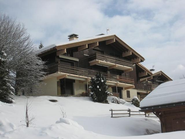 2 pièces cabine sans prétention avec balcon et parking FR-1-459-47 - La Clusaz