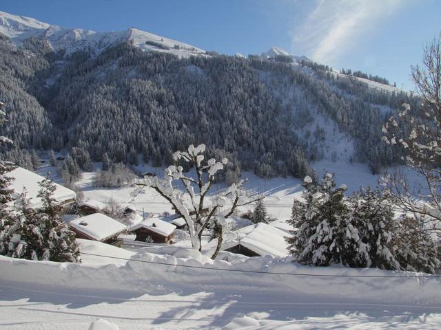 2 pièces cabine sans prétention avec balcon et parking FR-1-459-47 - La Clusaz