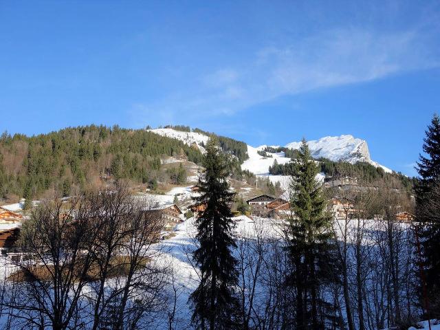 Appartement La Clusaz, 3 pièces, 6 personnes - La Clusaz