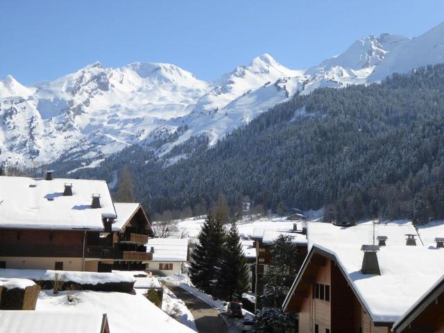 Appartement Rénové 3 Pièces au Centre de La Clusaz avec Balcon et Garage FR-1-459-40 - La Clusaz