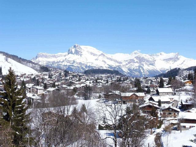 Charmant 2 Pièces + cabine dans un endroit calme - Megève