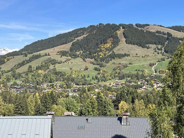 Appartement Megève, 3 pièces, 6 personnes - Megève