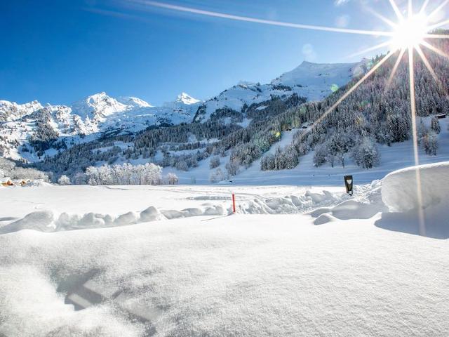 Appartement plein Sud avec garage à La Clusaz FR-1-437-83 - La Clusaz