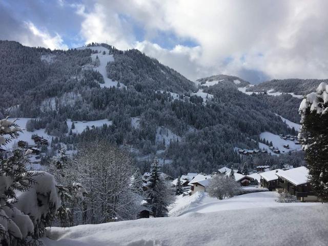 Charmant 3 pièces rénové avec terrasse, proche des pistes - La Clusaz, Le Crêt du Merle FR-1-459-28 - La Clusaz