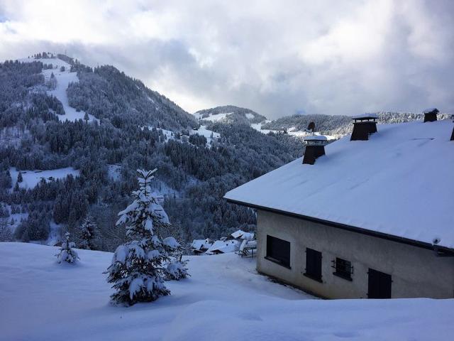 Charmant 3 pièces rénové avec terrasse, proche des pistes - La Clusaz, Le Crêt du Merle FR-1-459-28 - La Clusaz