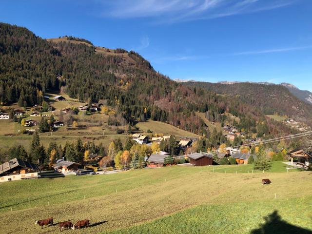 Appartement La Clusaz, 6 pièces, 10 personnes - La Clusaz