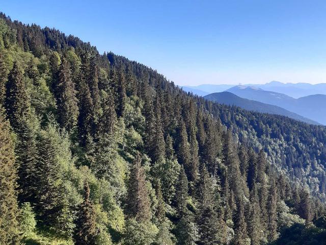 Studio Chamrousse, 1 pièce, 4 personnes - Chamrousse