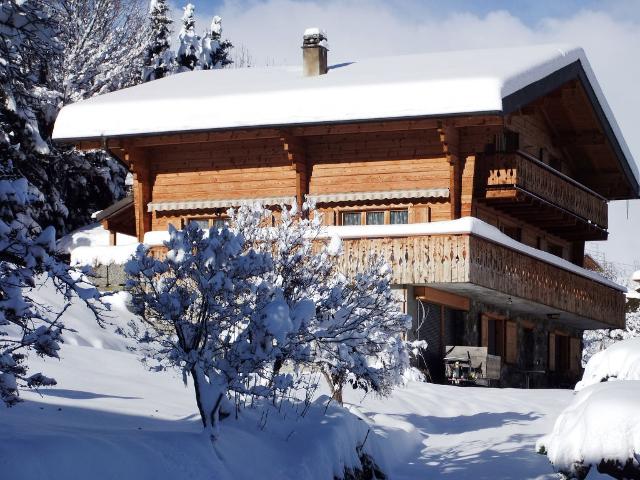 Châlet Deleze (HNE300) - Nendaz