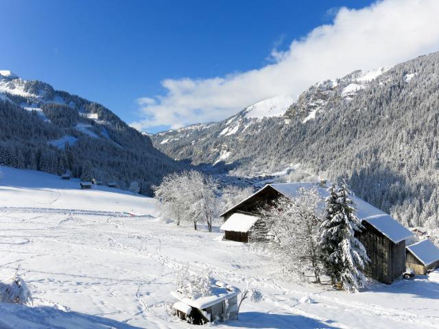 Appartement Le Grand Lodge (CHL100) - Châtel