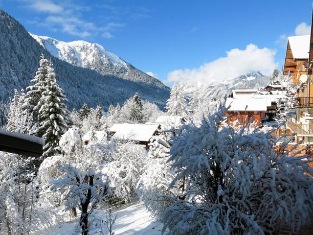 Châlet Le Petit Savoyard - Châtel