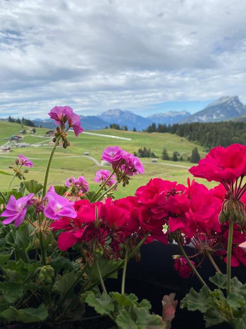 Appartement La Grange à Georges 5827297 - Le Grand Bornand