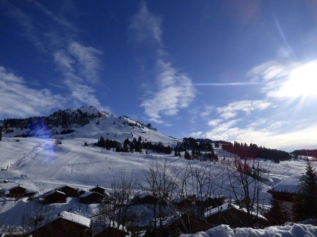 Appartement confortable 40m² pour 6 pers. proche pistes de ski, grande terrasse FR-1-458-93 - Le Grand Bornand