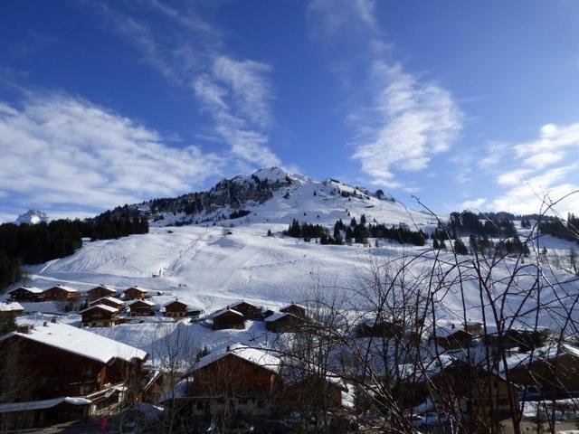 Appartement confortable 40m² pour 6 pers. proche pistes de ski, grande terrasse FR-1-458-93 - Le Grand Bornand